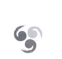 安統保險經紀人有限公司標章