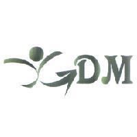 GDM 及圖