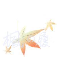 楓の履及圖こよのくつ