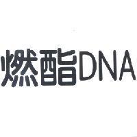 燃酯 DNA