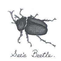 See's Beetle 及圖