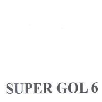 SUPER GOL 6