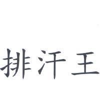 排汗王