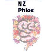 NZ Phloe 及圖