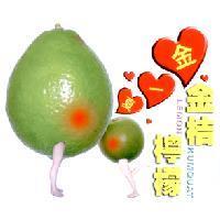 金一夏金桔檸檬及圖