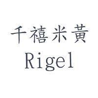 千禧米黃 Rigel