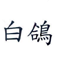 白鴿