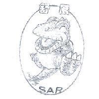 舒展及圖 SAR