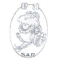 舒展及圖 SAR