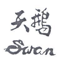 天鵝 SWAN