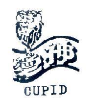愛神 CUPID