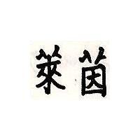 萊茵