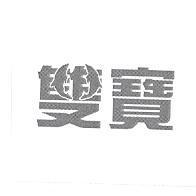 雙寶設計圖