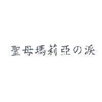 聖母瑪莉亞 の 淚