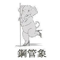 鋼管象及圖