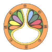 精彩金彩及圖
