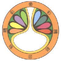 精彩金彩及圖