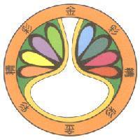 精彩金彩及圖
