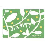 BIG BYTE 及葉圖