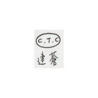 共晉 MOBI 