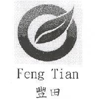 豐田 Feng Tian 及圖