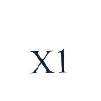 X1