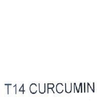 T14 CURCUMIN