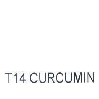 T14 CURCUMIN