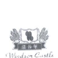 溫莎堡 Windsor Castle 及圖