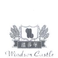 溫莎堡 Windsor Castle 及圖