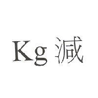 kg 減