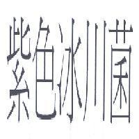 紫色冰川菌字樣