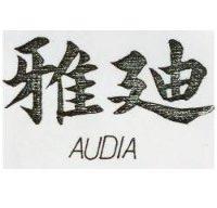 雅迪 AUDIA