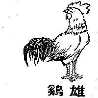雄鷄及圖