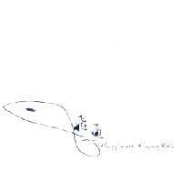 飛魚 Happiness Flying Fish 及圖