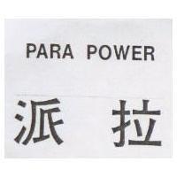 派拉 PARA POWER 