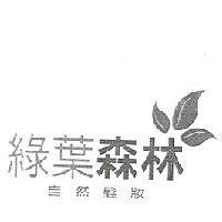 綠葉森林自然髮妝及圖