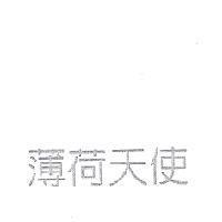 薄荷天使