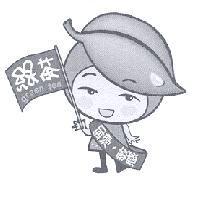 綠茶小子