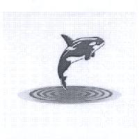 鯨魚設計圖