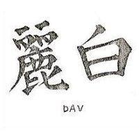 白麗 DAV 