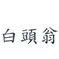 白頭翁