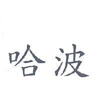 哈波