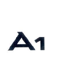 A1
