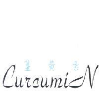 薑黃素 Curcumin