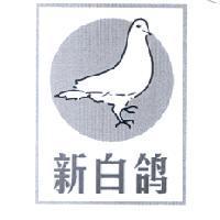 新白鴿及圖