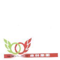 東林集團 beauty 及圖
