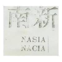 南新 NASIA NACIA