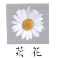 菊花及圖