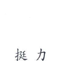 挺力